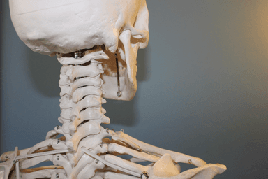 Image for Initial Osteopathic Consultation